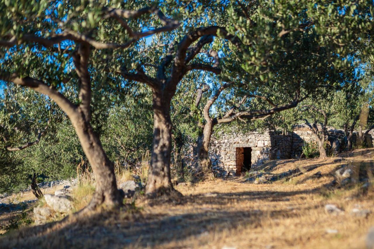 Villa Fani スペタル エクステリア 写真
